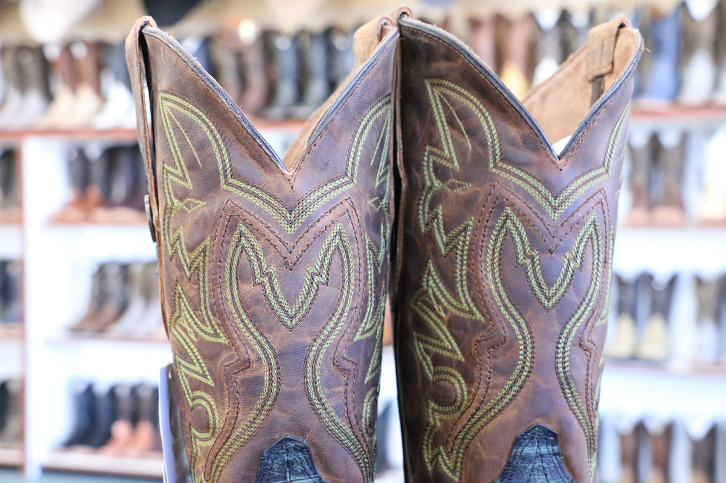 Chero's Premium Exotic Python Safari Green