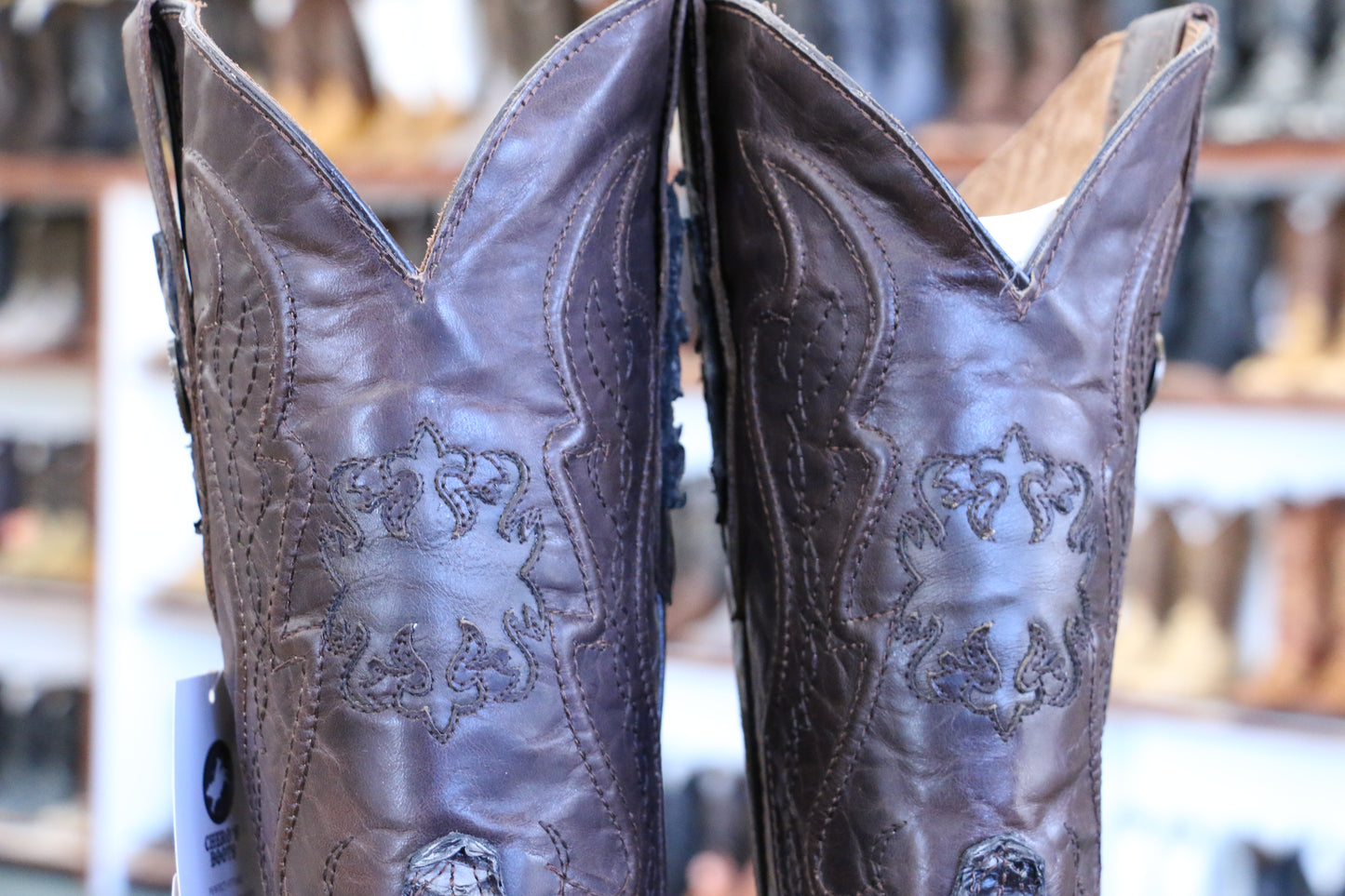Chero's Premium Exotic Pirarucu Morel