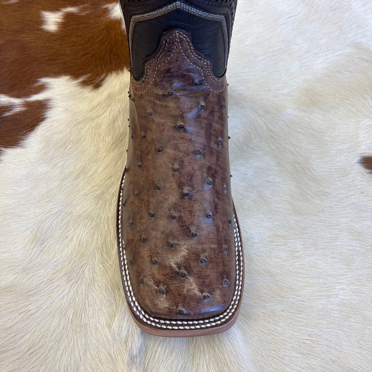 Chero's Premium Exotic Ostrich Cowboy Brown