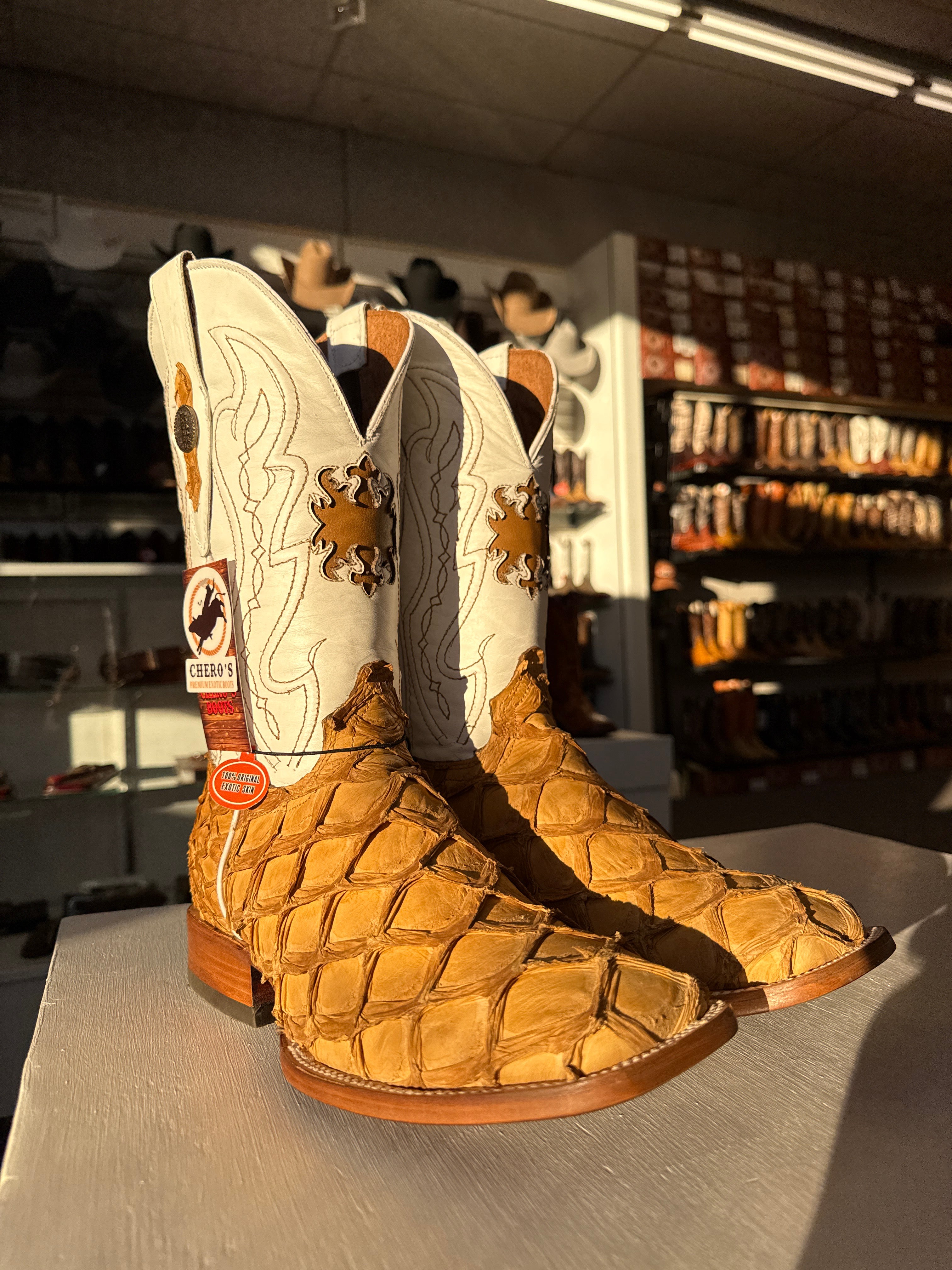 Chero's Premium Exotic Pirarucu Light Castor