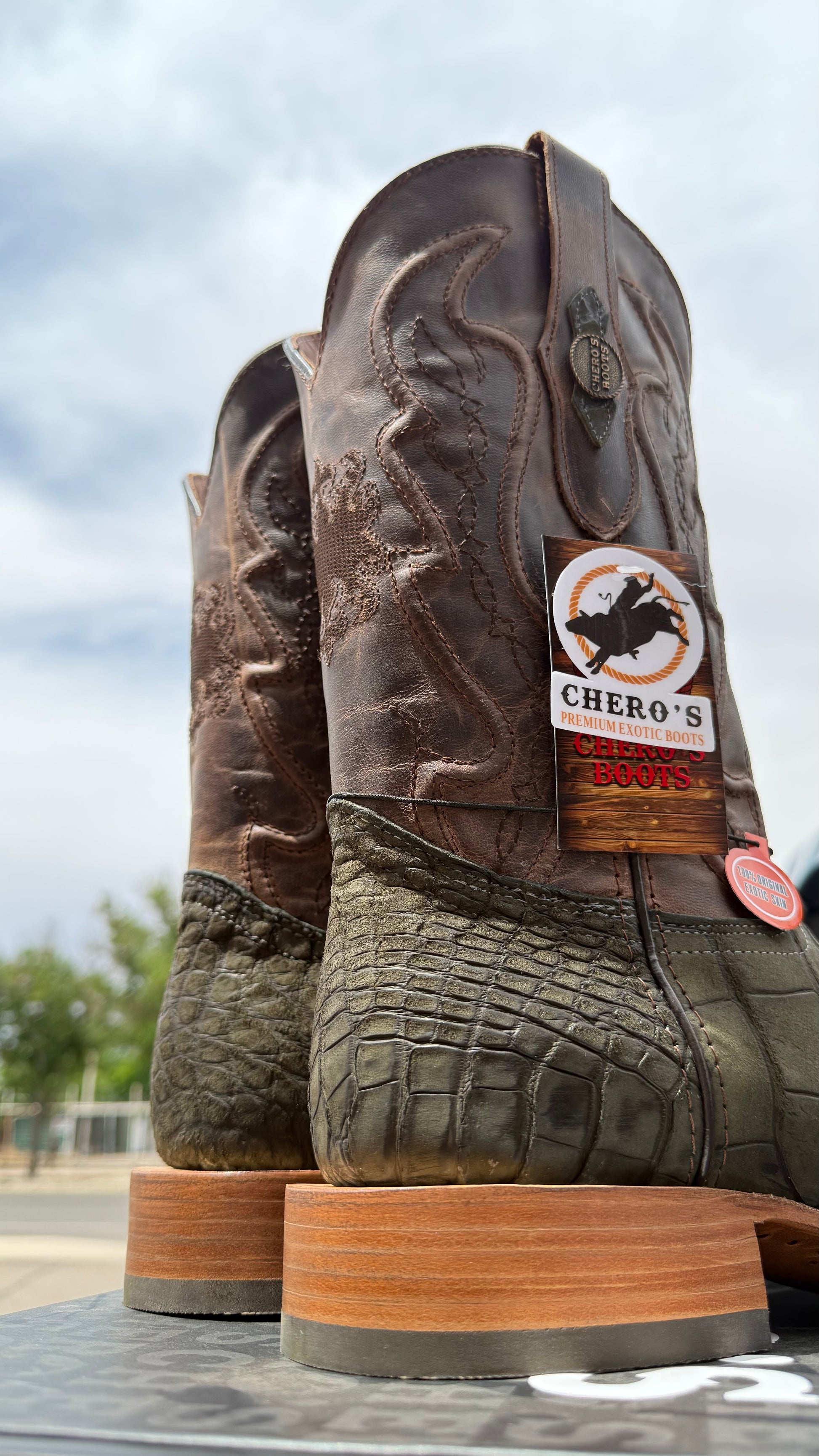 Chero's Premium Exotic Alligator Belly Olive