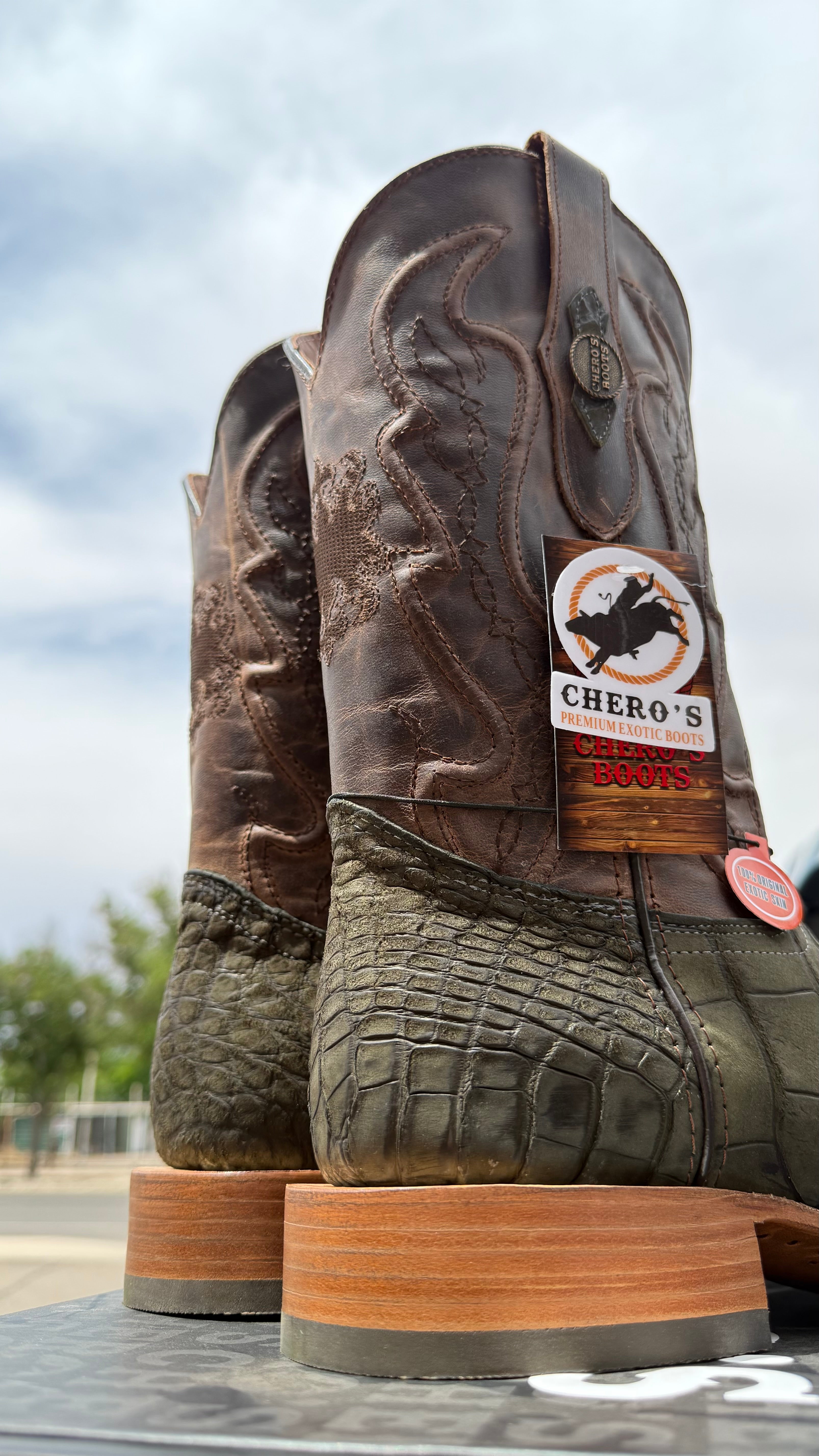 Chero's Premium Exotic Alligator Belly Olive