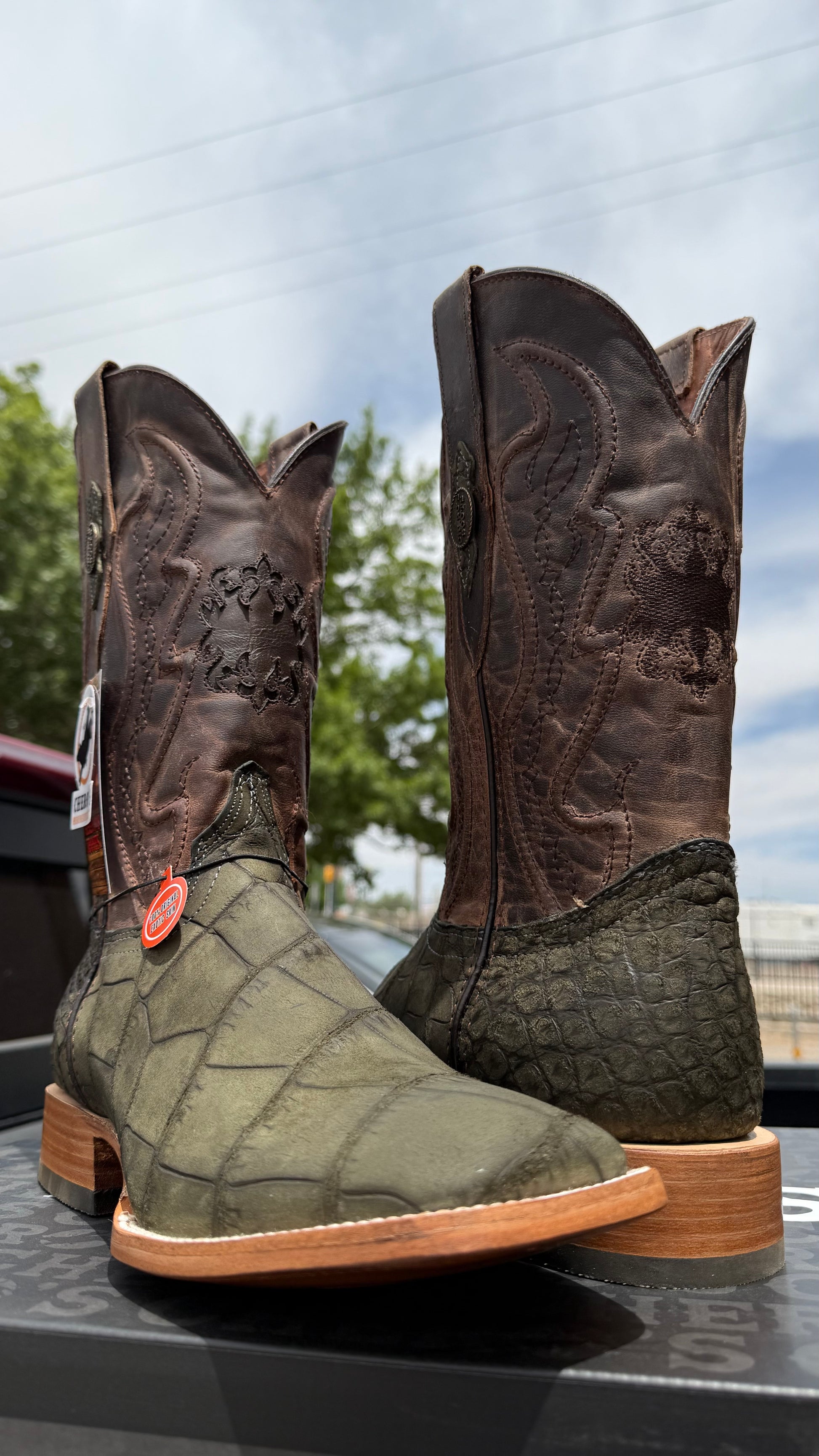 Chero's Premium Exotic Alligator Belly Olive