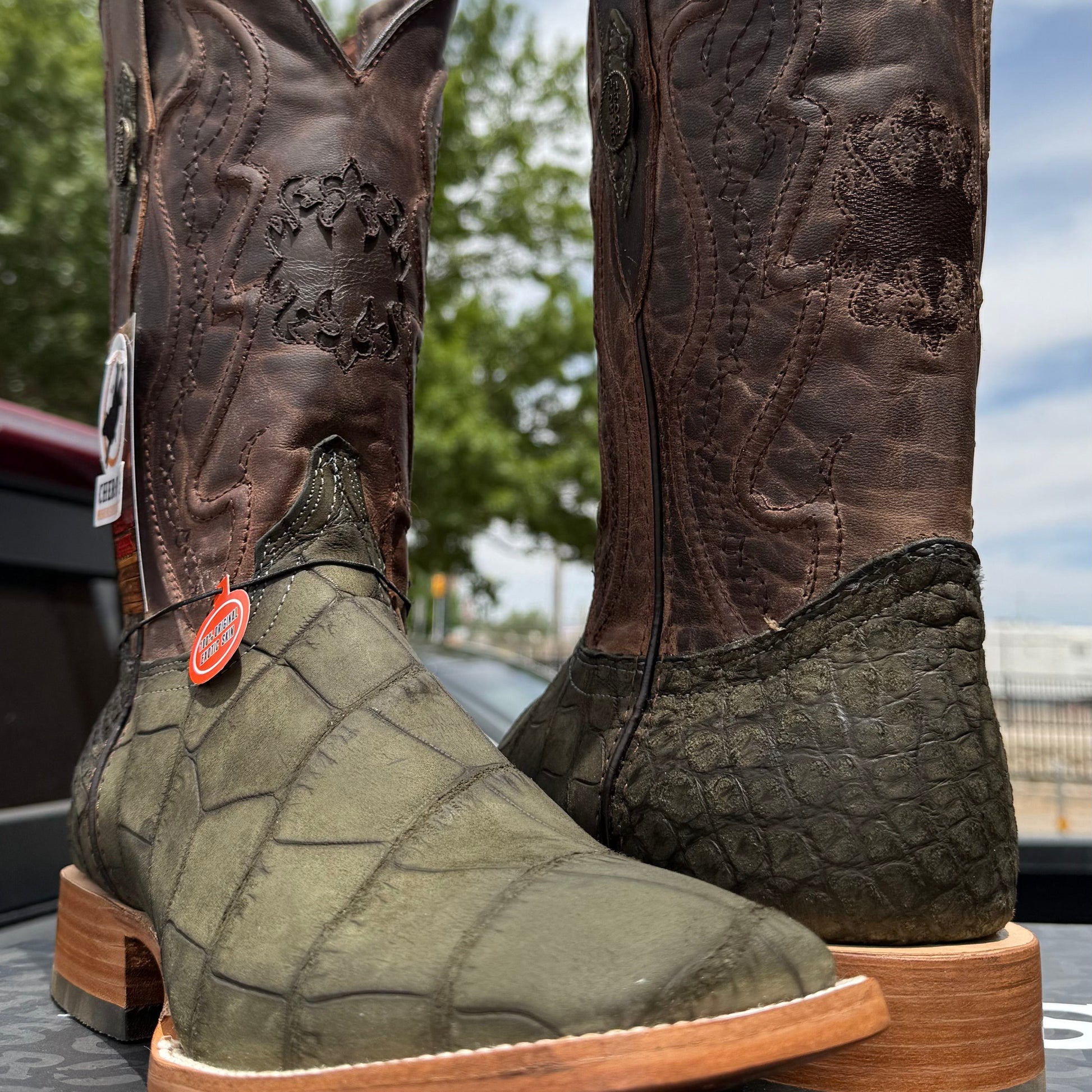 Chero's Premium Exotic Alligator Belly Olive