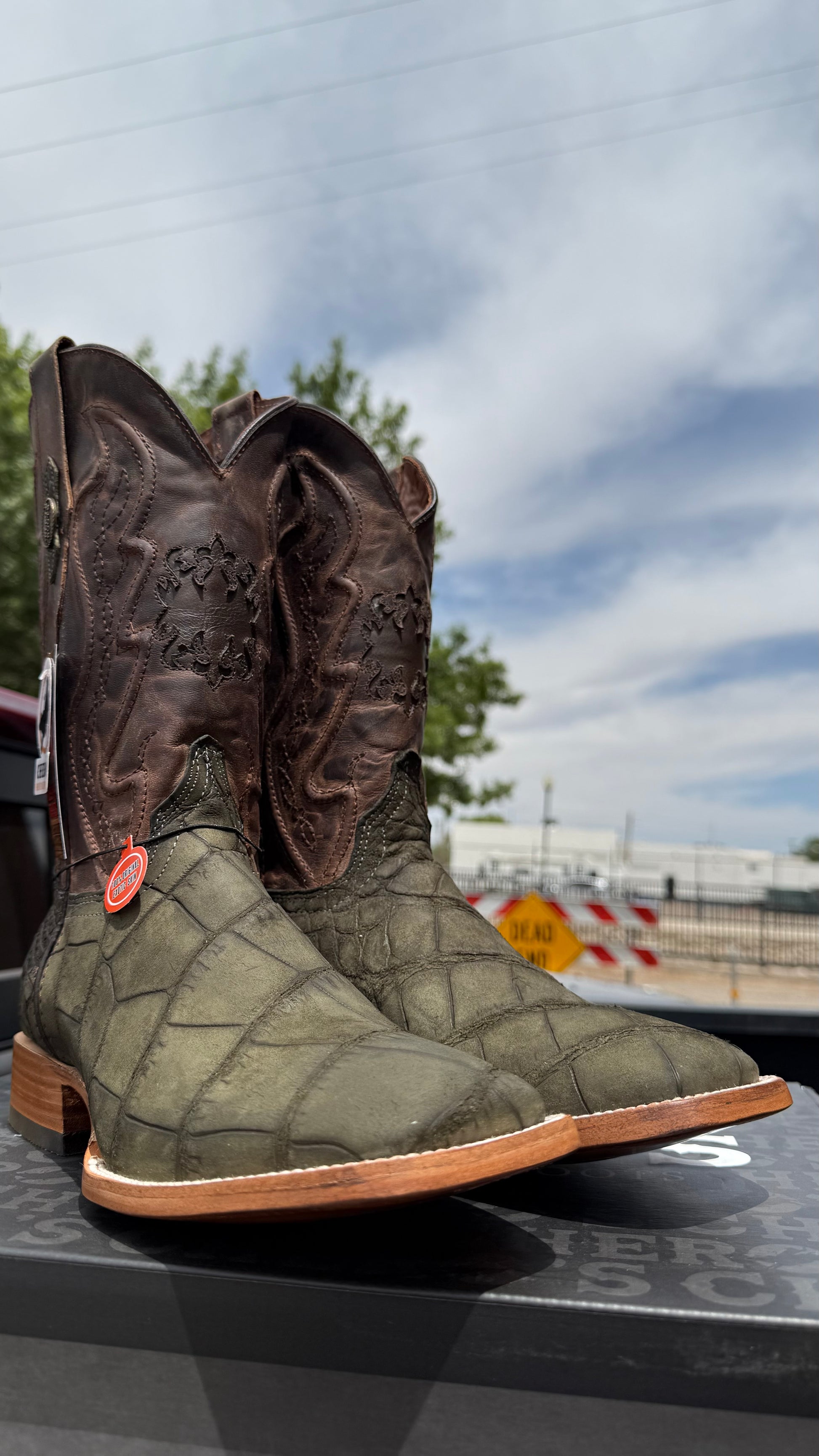 Chero's Premium Exotic Alligator Belly Olive