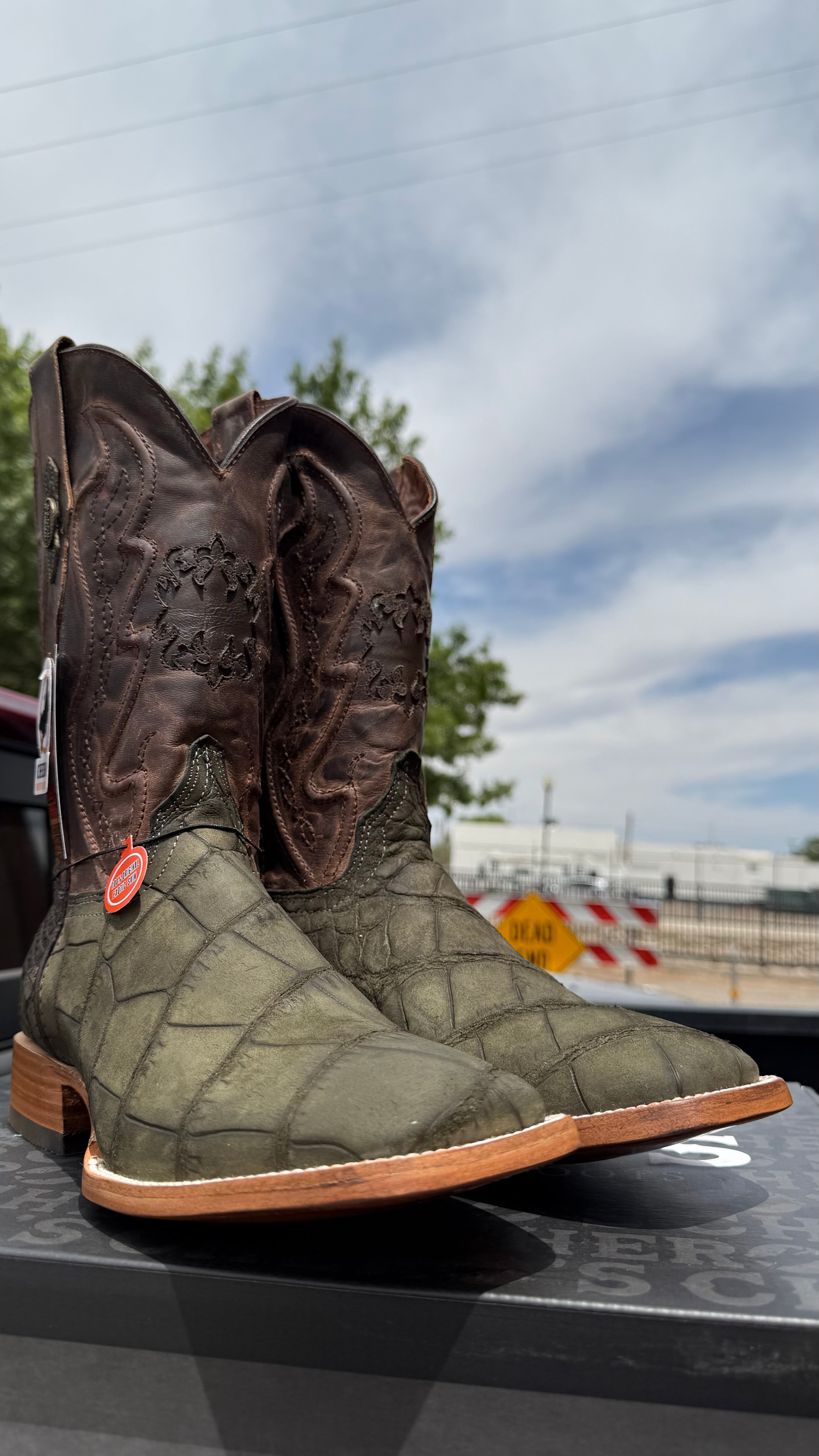 Chero's Premium Exotic Alligator Belly Olive