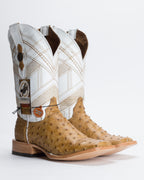 Chero's Premium Exotic Full-Quill Ostrich Saddle Gold
