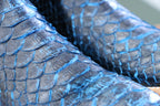 Chero's Premium Exotic Python Black Turquoise