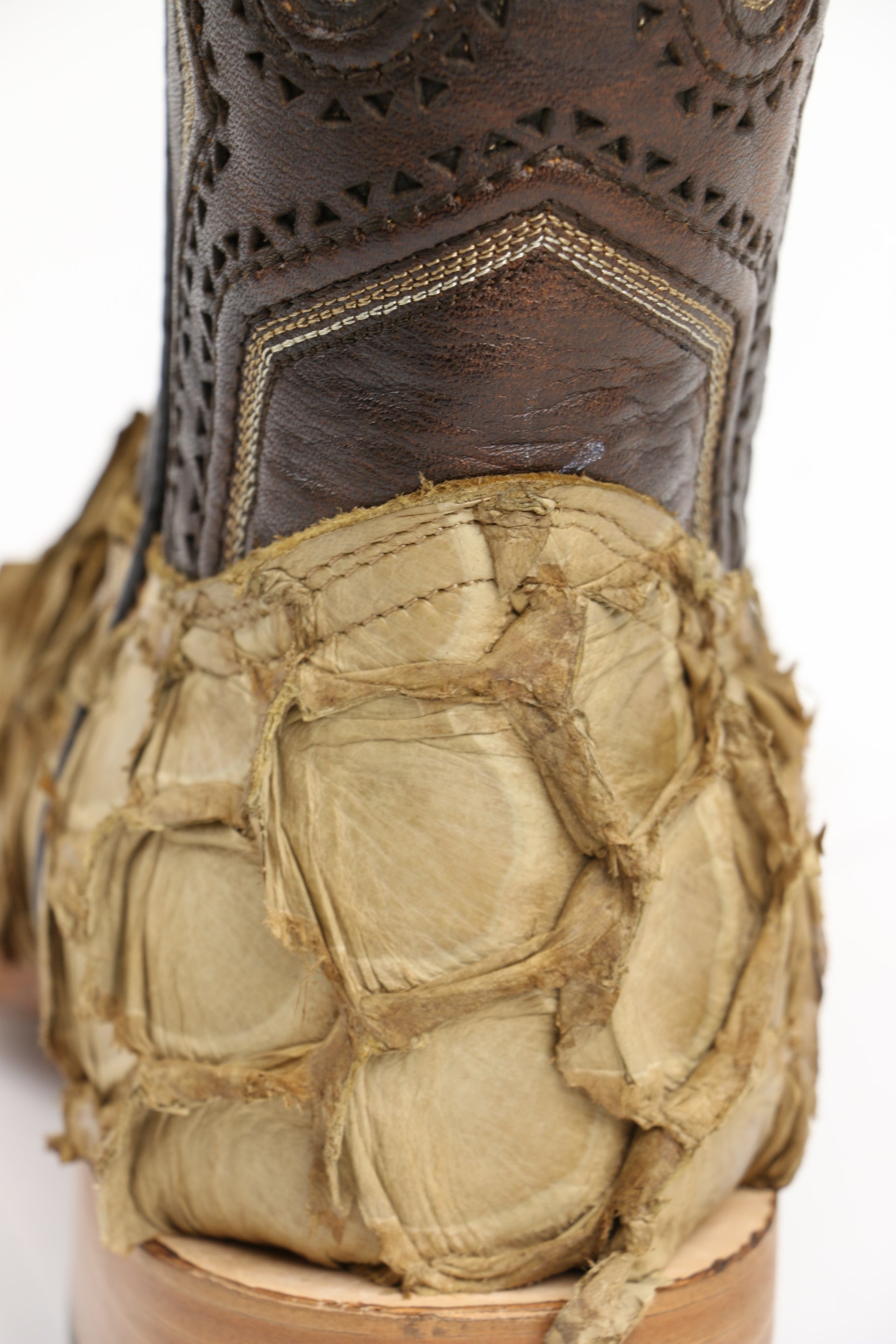 Chero's Premium Exotic Pirarucu Saharan Sand