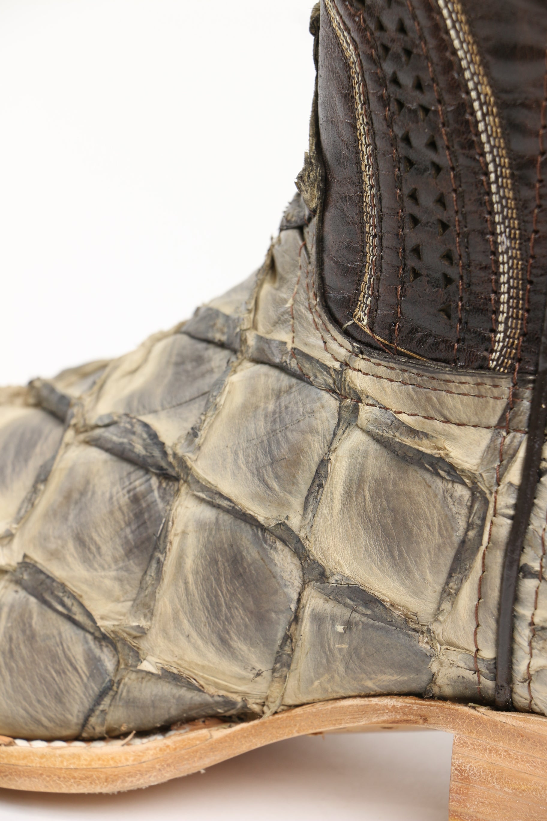 Chero's Premium Exotic Pirarucu Driftwood