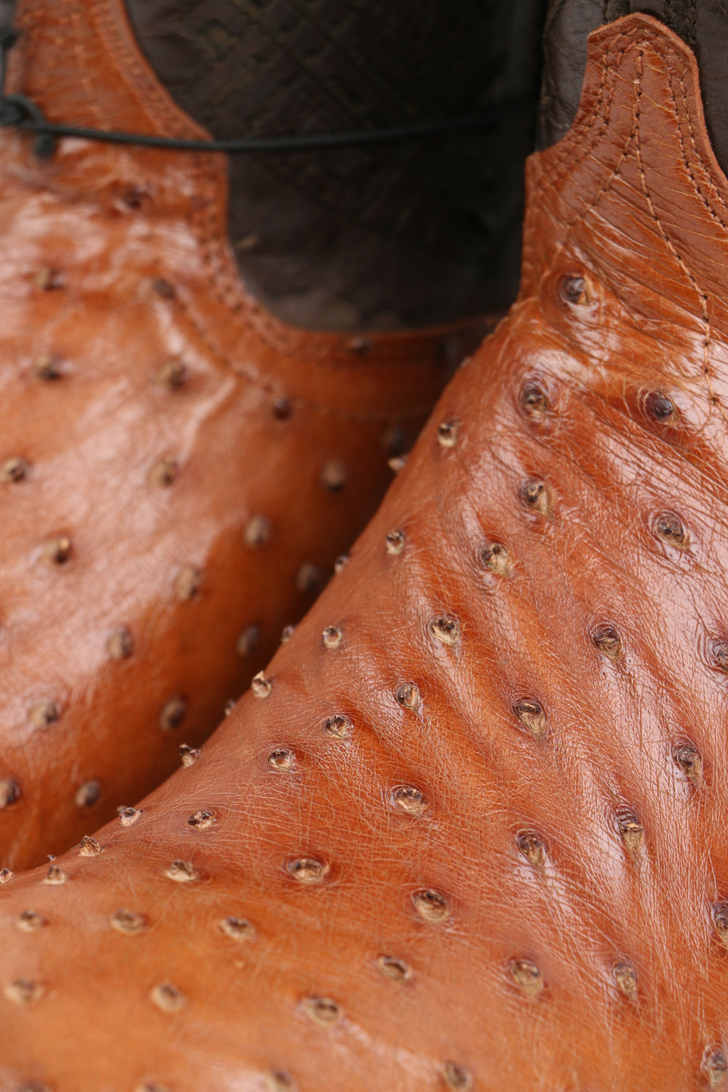 Chero's Premium Exotic Ostrich Brandy