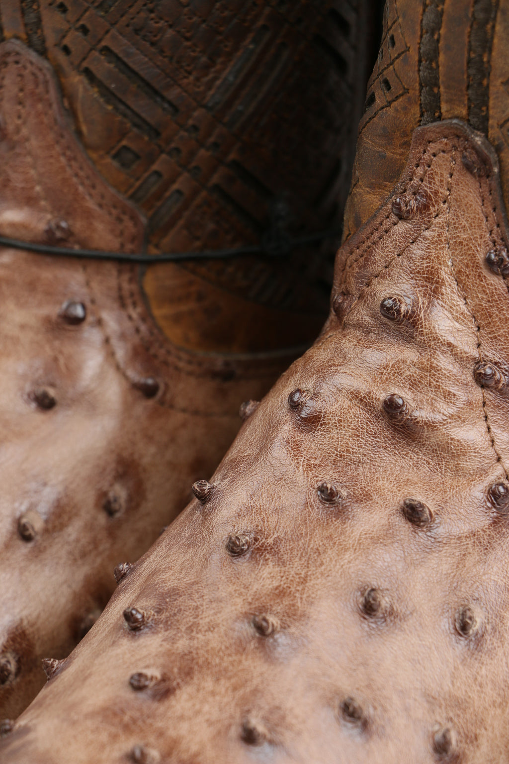 Chero's Premium Exotic Ostrich Kango Tobacco