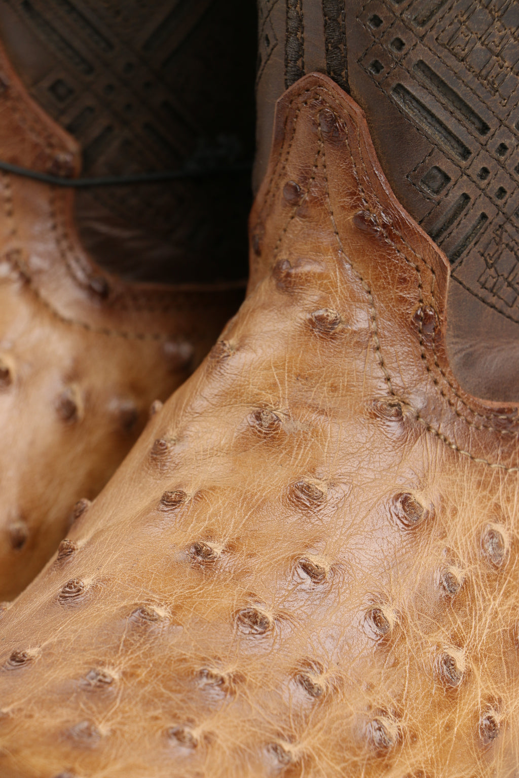 Chero's Premium Exotic Ostrich Scorched Brandy