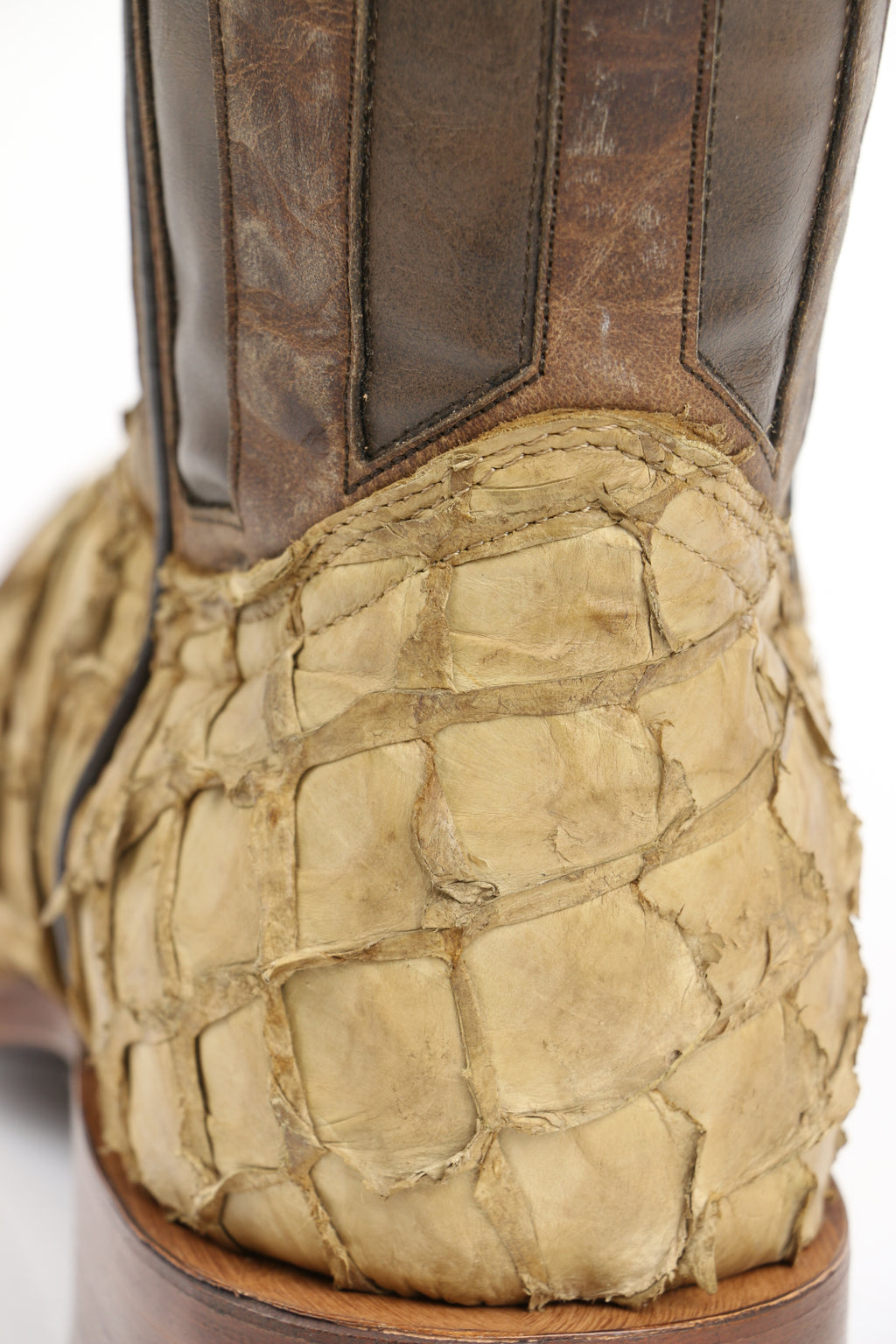 Chero's Premium Exotic Pirarucu Desert Sand