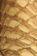 Chero's Premium Exotic Pirarucu Light Castor