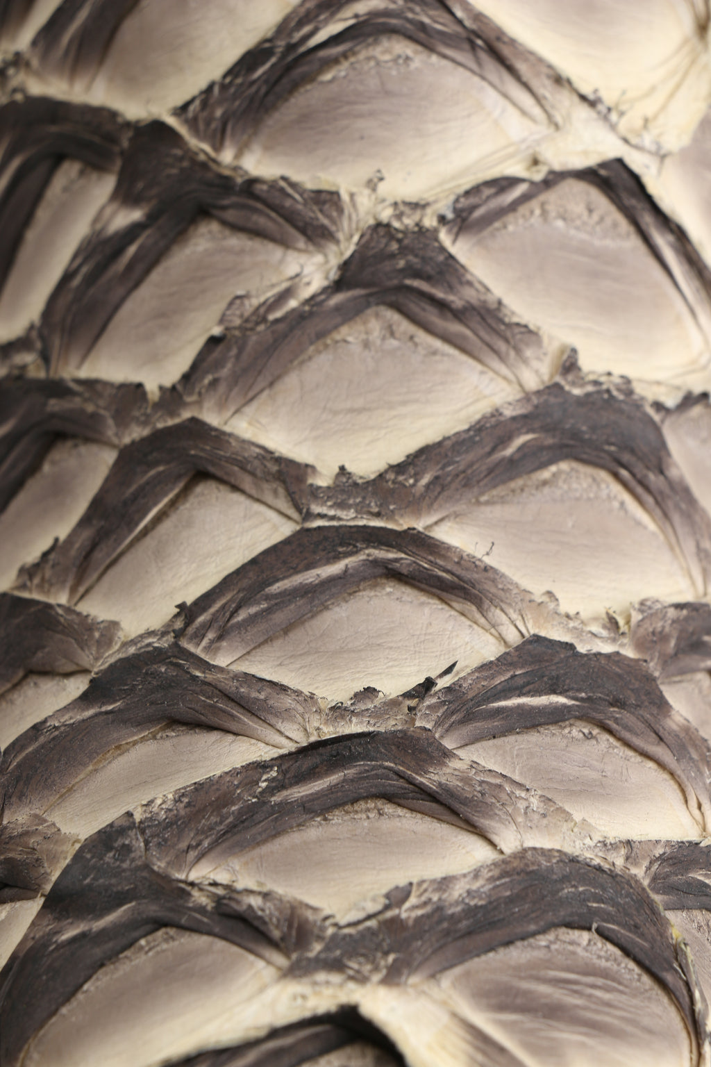 Chero's Premium Exotic Pirarucu Ivory Shadow