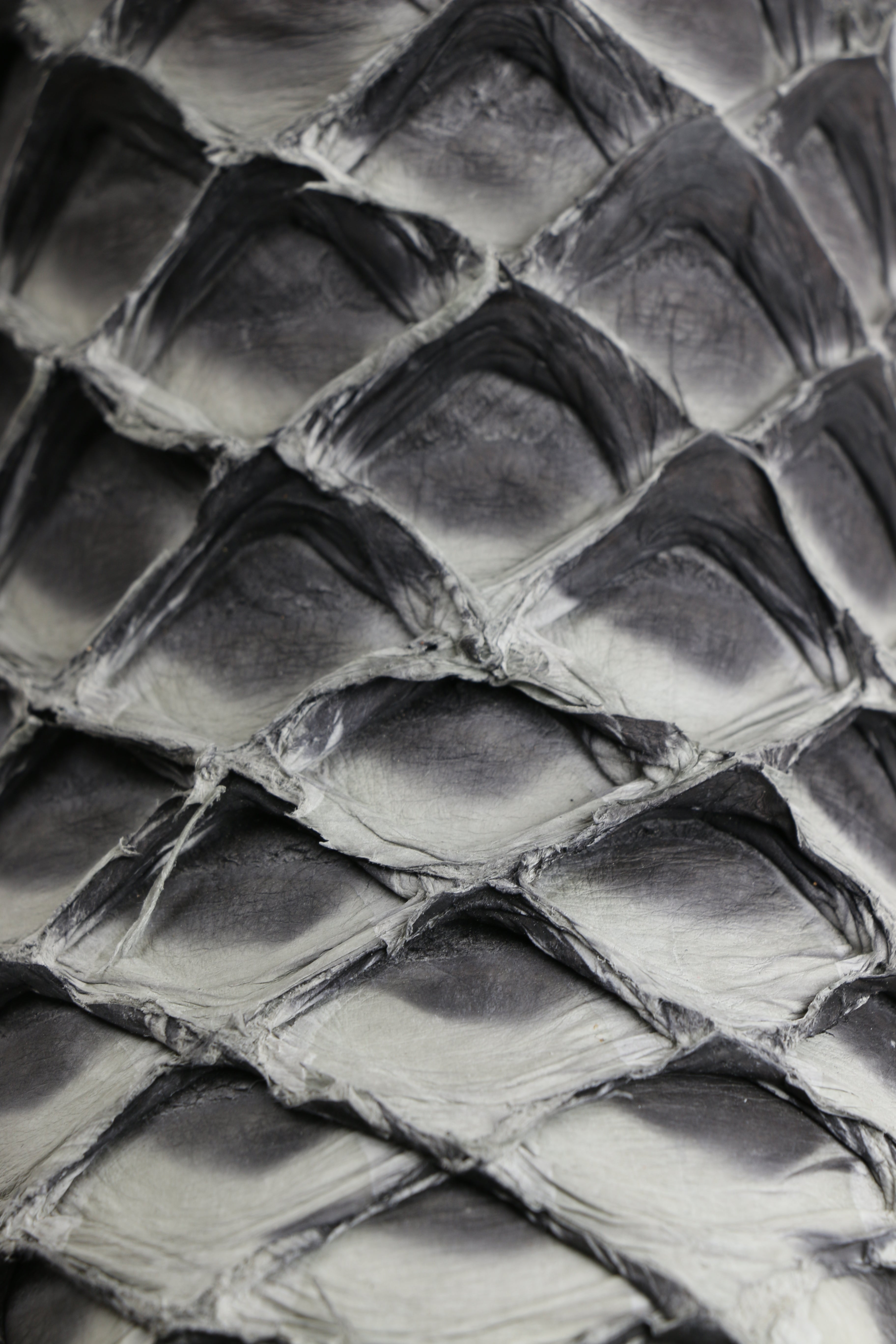 Chero's Premium Exotic Pirarucu Mockingbird