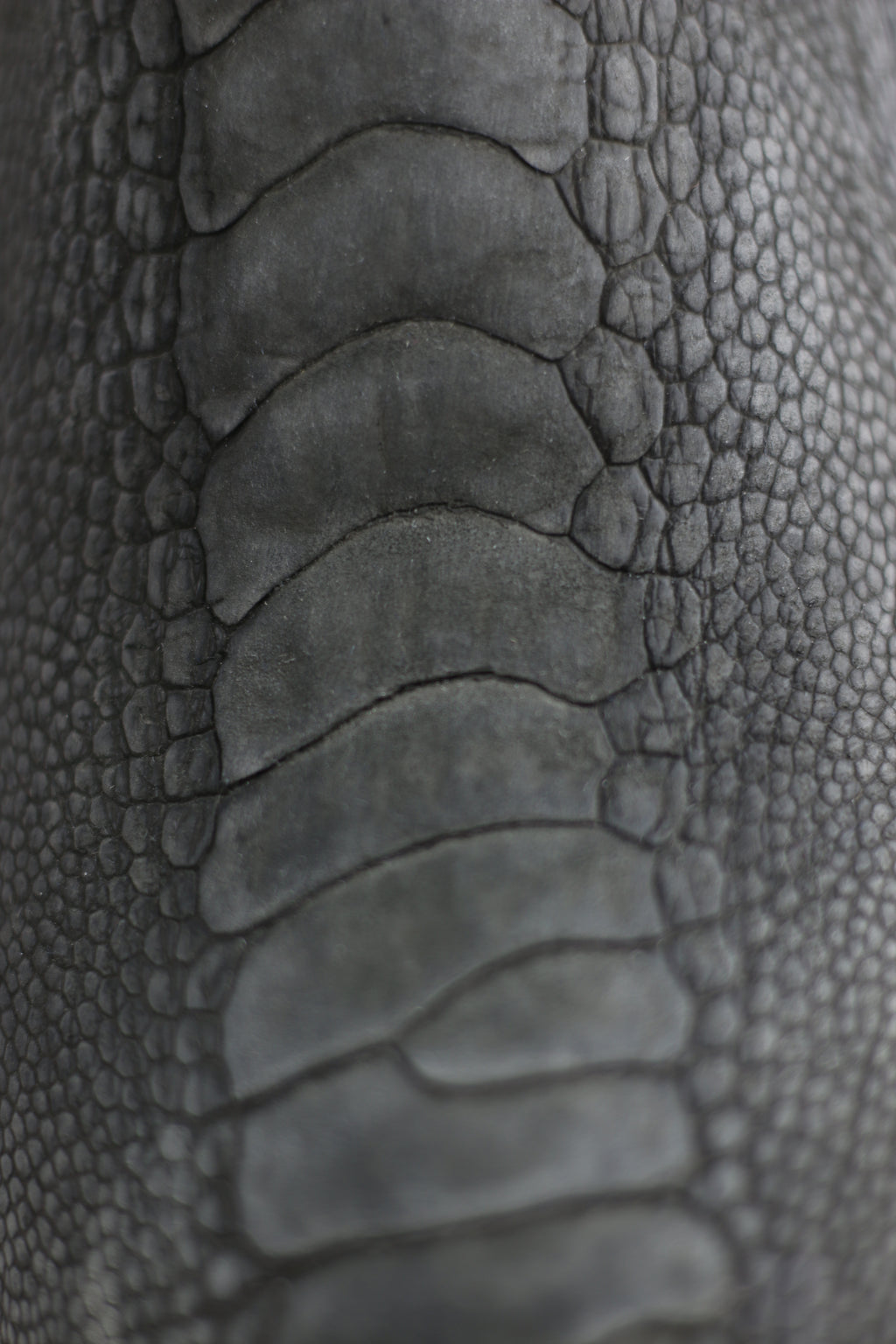 Chero's Premium Exotic Ostrich Leg Charcoal