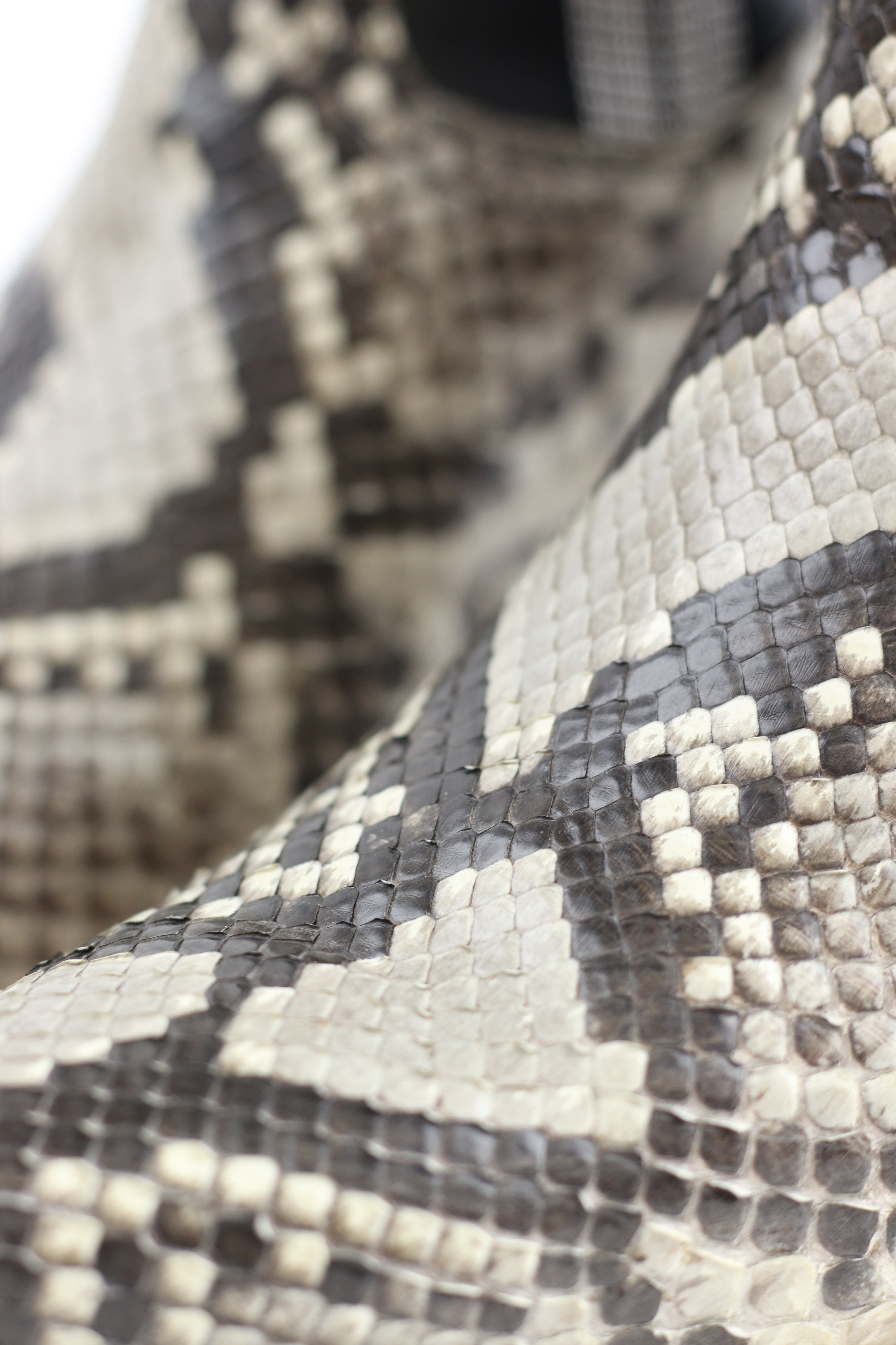 Chero's Premium Exotic Python Natural Front-Cut