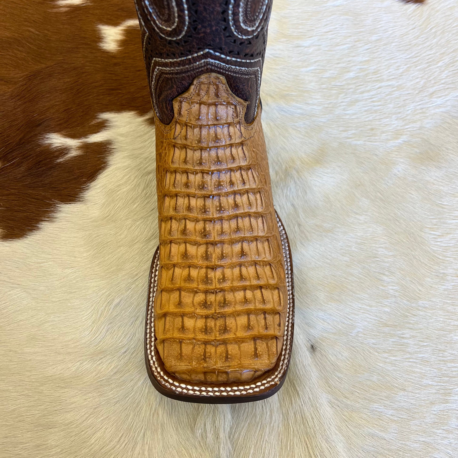 Chero’s Premium Exotic Caiman Back Antique Saddle