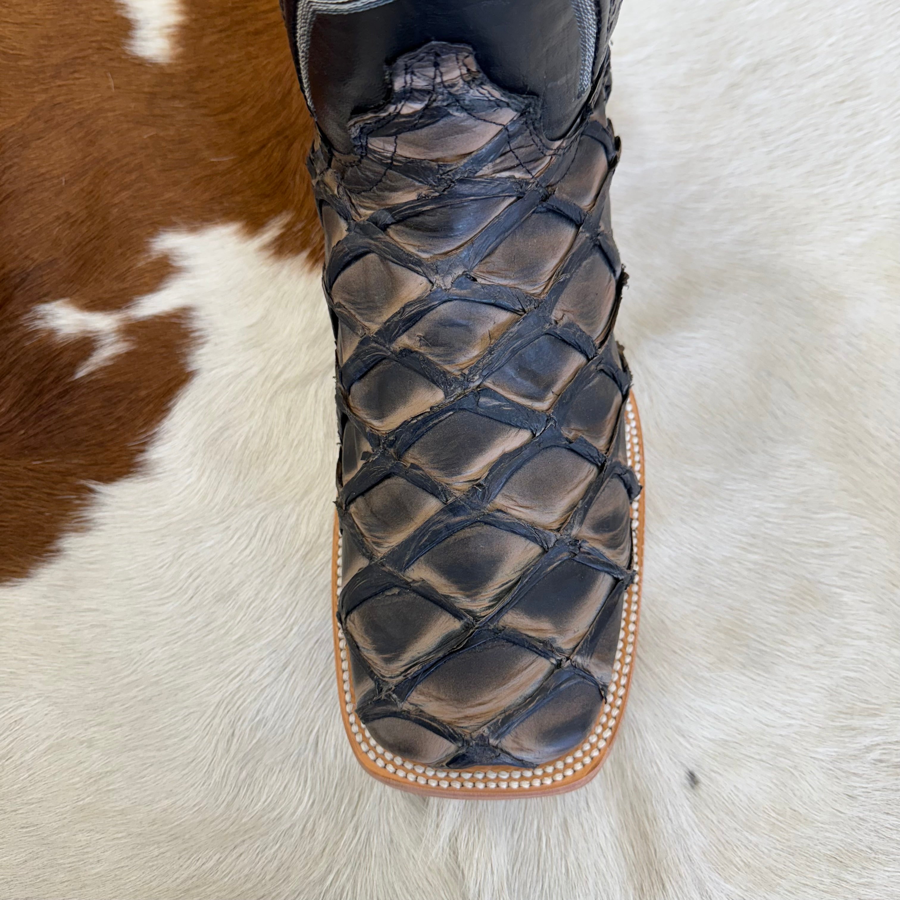 Chero's Premium Exotic Pirarucu Camel Black Wild